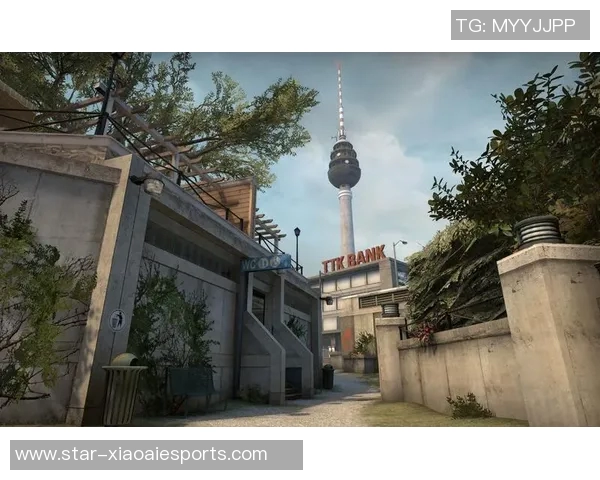 揭秘王强成功之路探讨CSGO背后的策略与团队精神